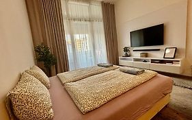 New, Beautiful Apt With Parking In Best Location!